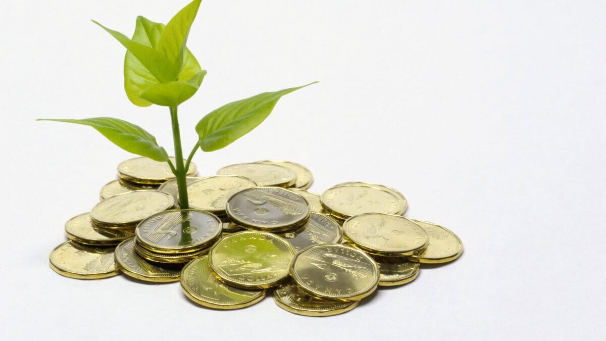 A close up color image of a small green plant sprouting out of a pile of Canadian dollar coins "loonies."