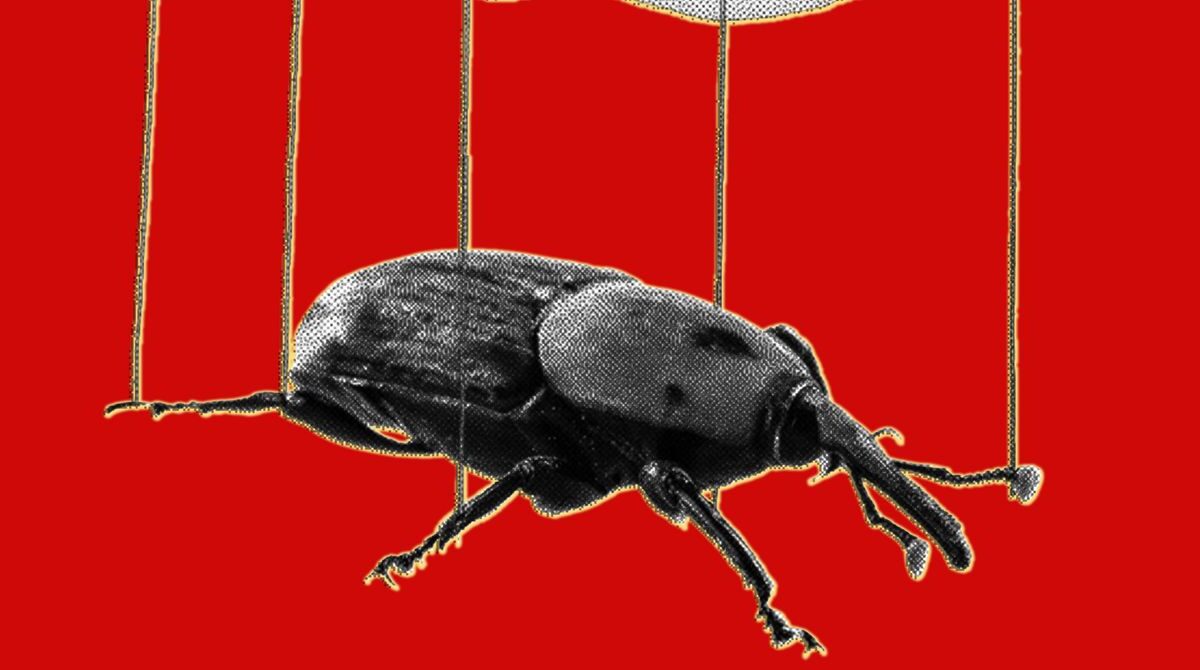 The PHP Meltdown Shows How AI Makes Bugs More Exploitable